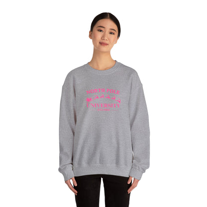 North Pole University Crewneck Sweatshirt Embroidery