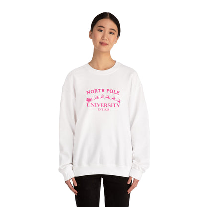 North Pole University Crewneck Sweatshirt Embroidery