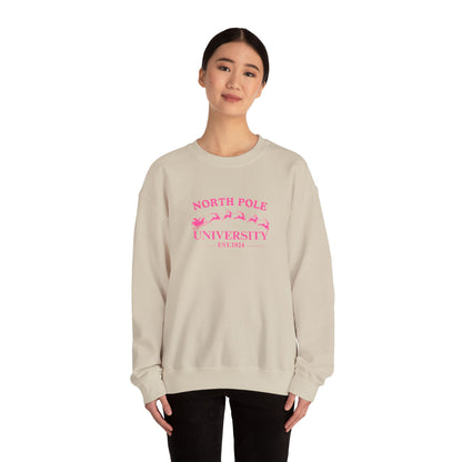 North Pole University Crewneck Sweatshirt Embroidery