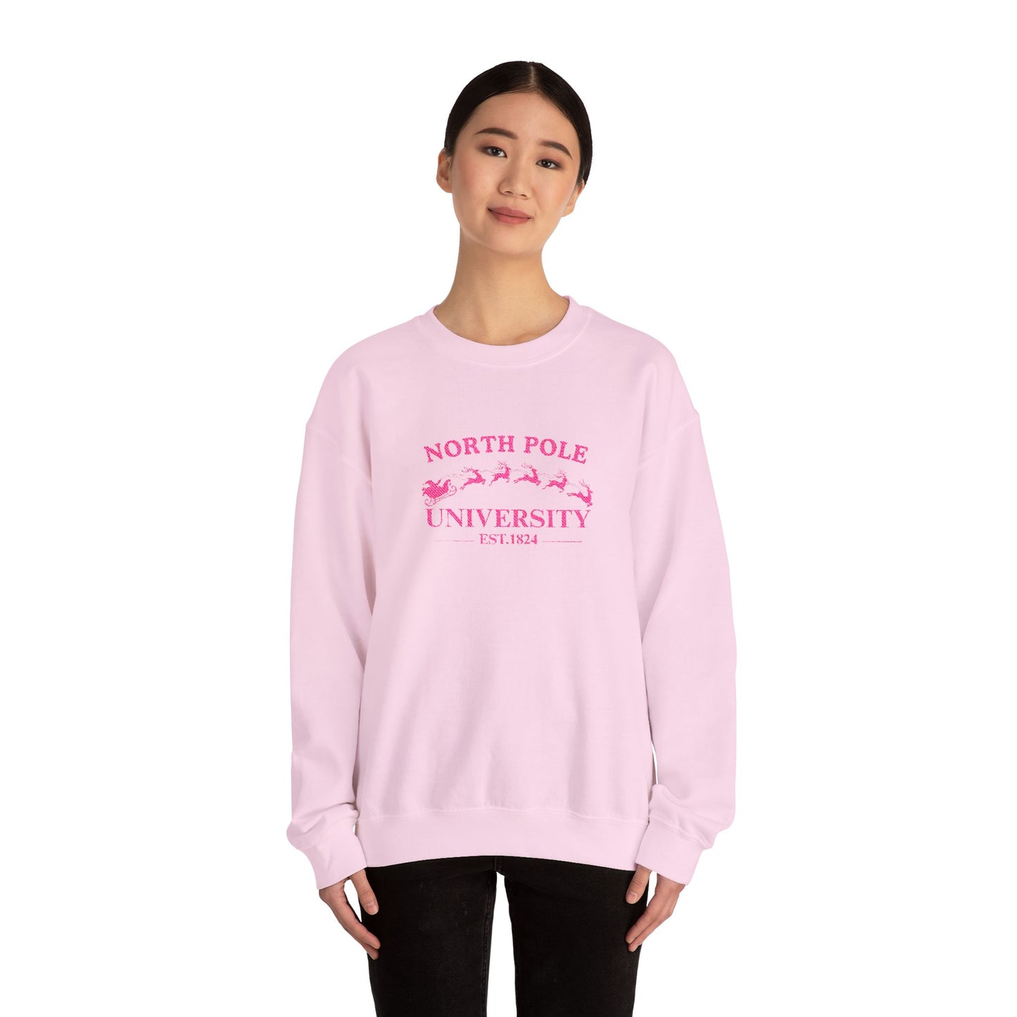 North Pole University Crewneck Sweatshirt Embroidery