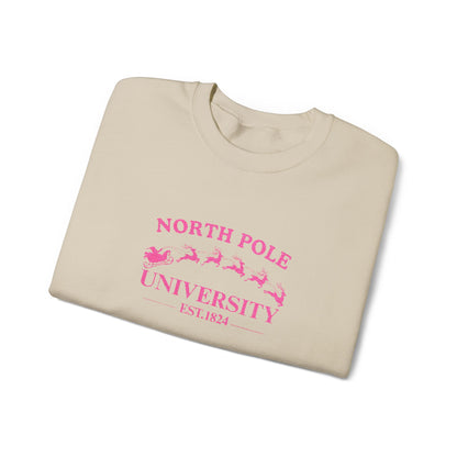 North Pole University Crewneck Sweatshirt Embroidery